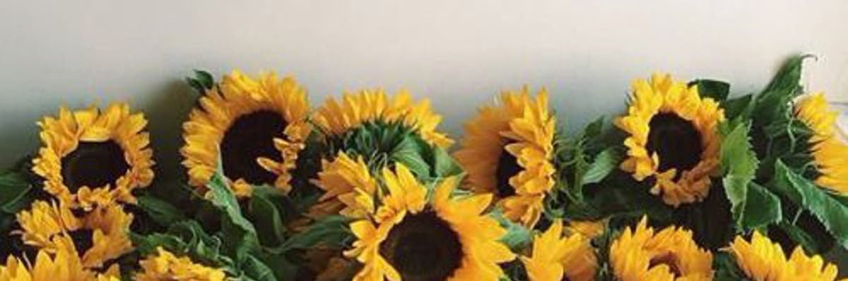 DidyPW's profile banner image