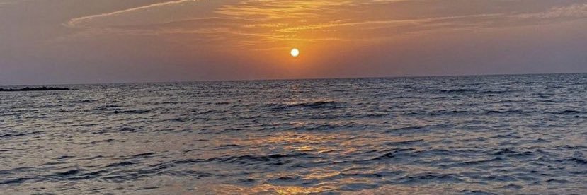 Diana Stefany🐚 banner