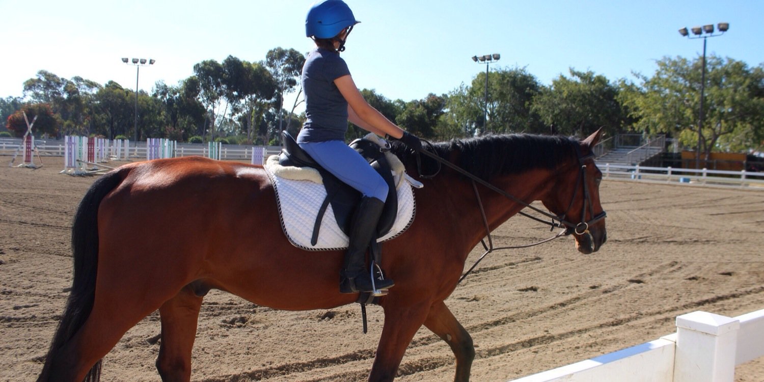 saddle_life's profile banner image