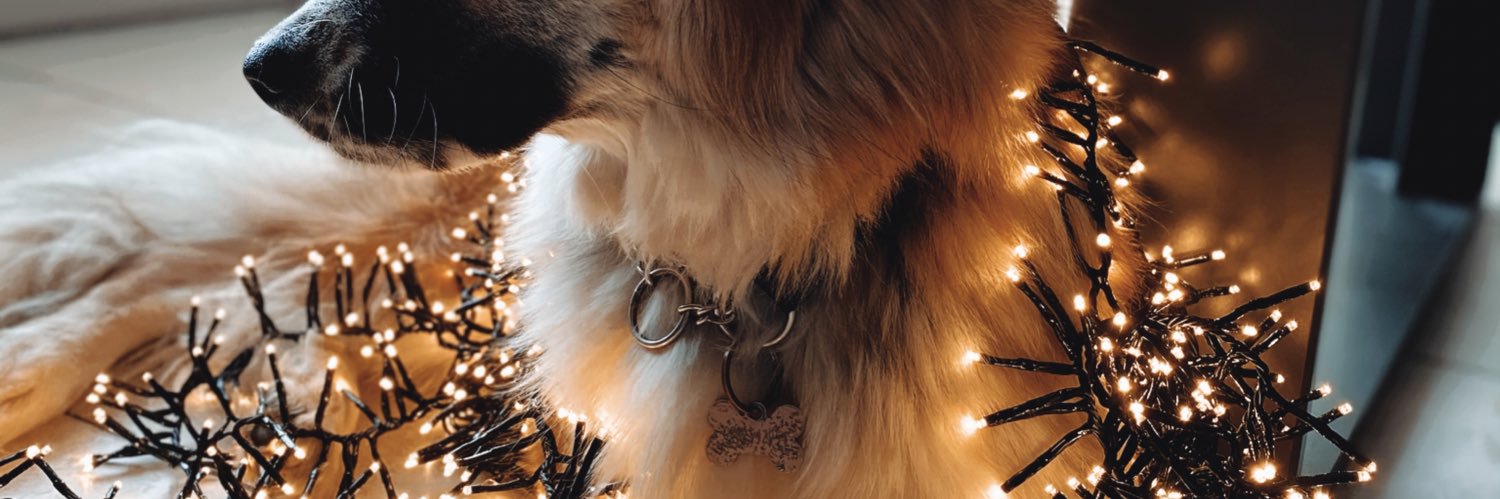 Leaggrd's profile banner image