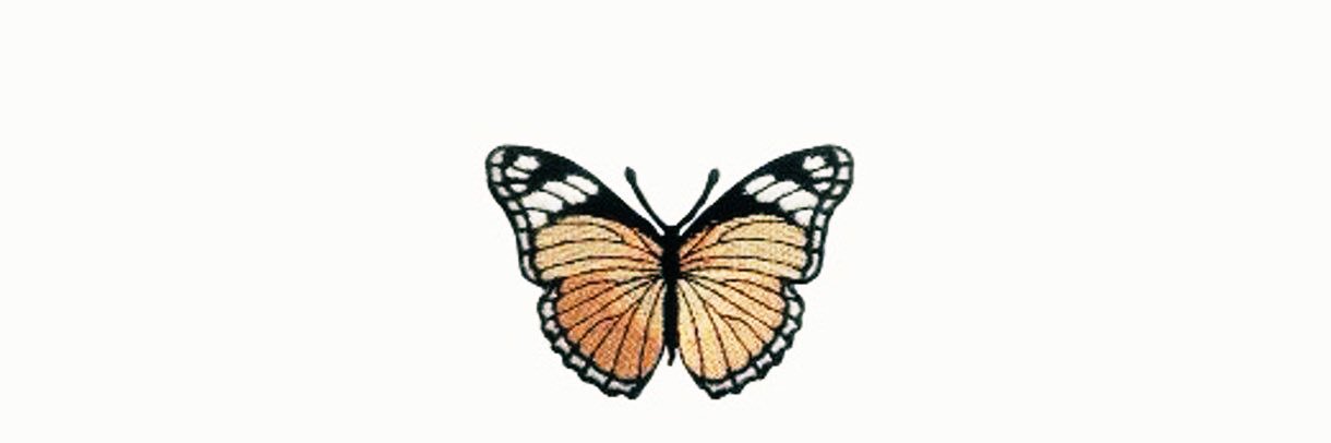 HonnnneyBee's profile banner image