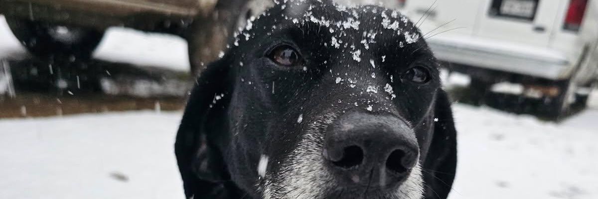 peeples_tim's profile banner image