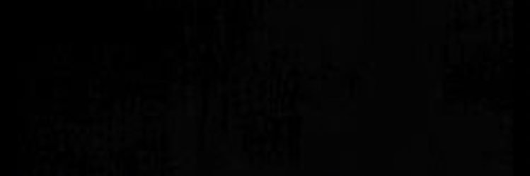 brendaslv1's profile banner image