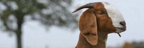 viewsofwavy's profile banner image