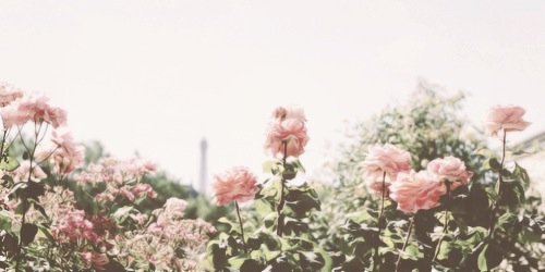 Bcttcrfli's profile banner image