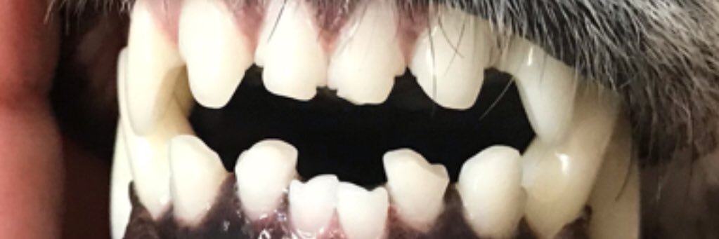 _shulx's profile banner image