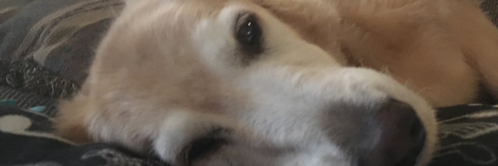n_lopez55's profile banner image