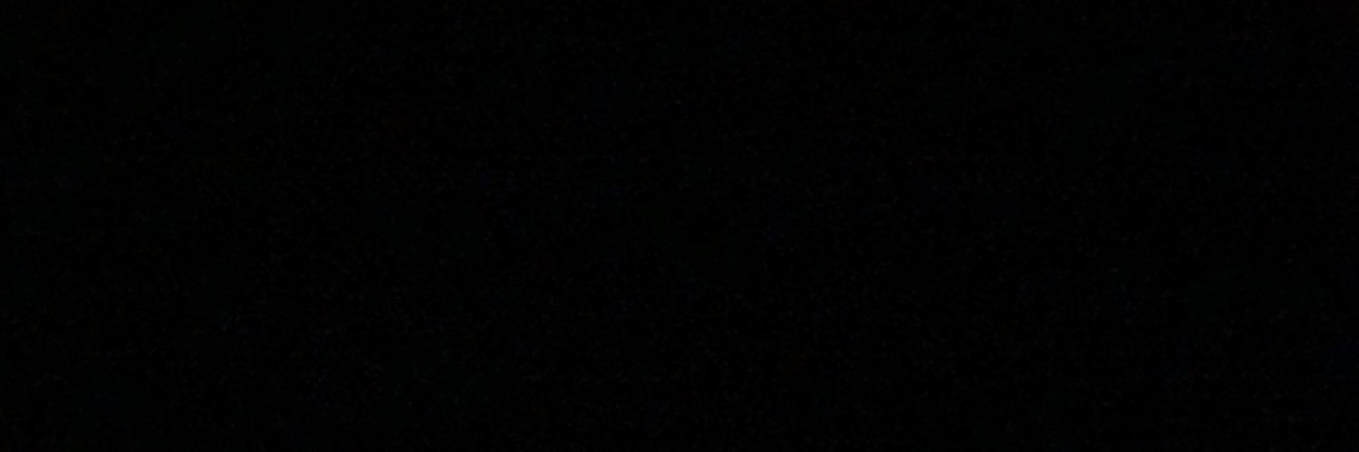 Wilfredo Dominick Diaz banner