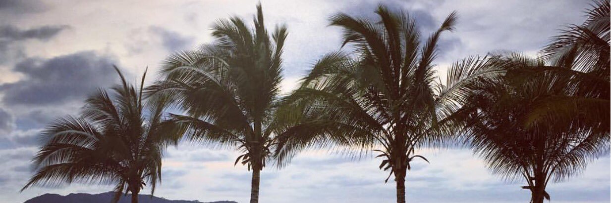 beachchick200's profile banner image