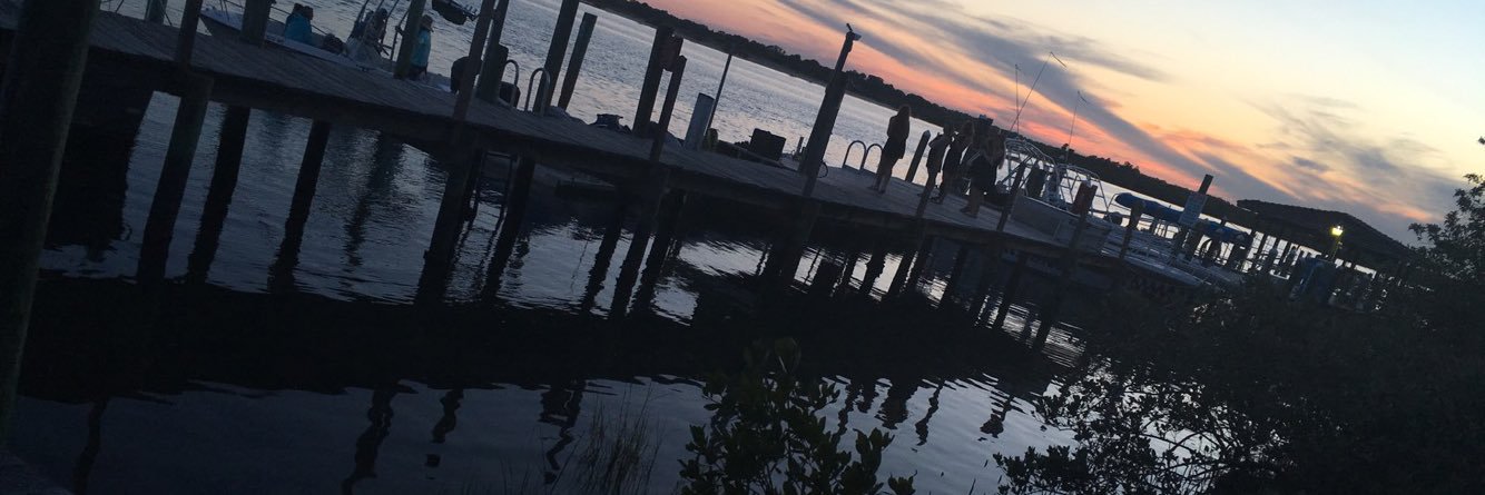 madicawlfield's profile banner image