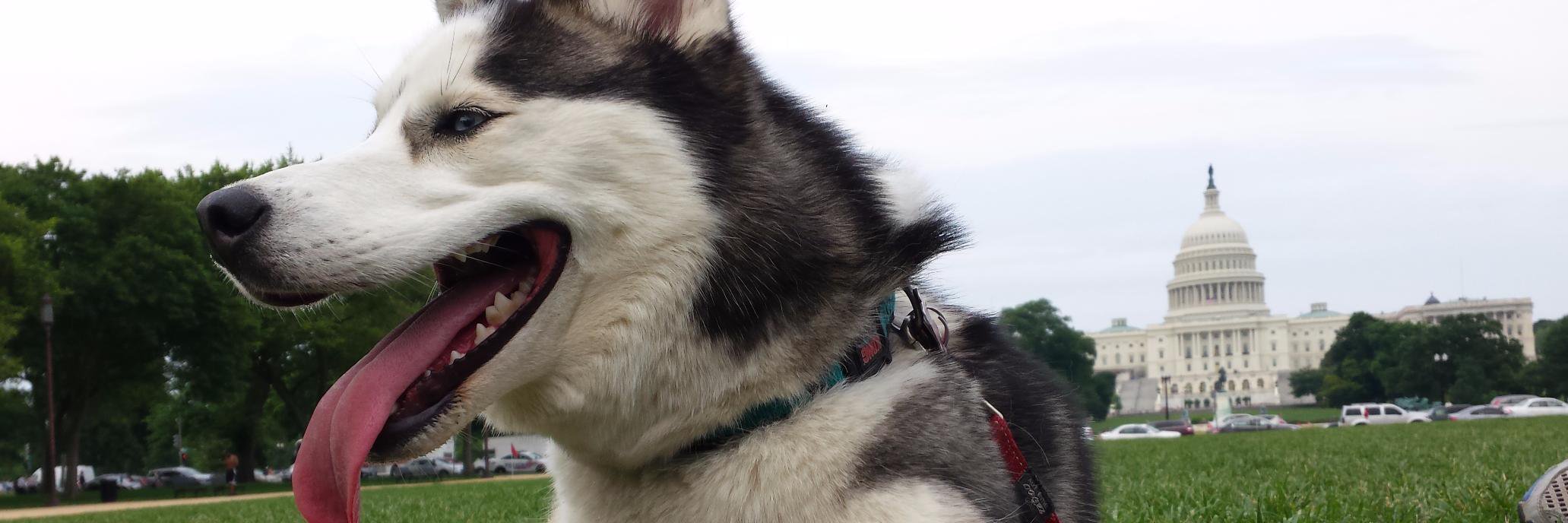 fuzzboy42's profile banner image