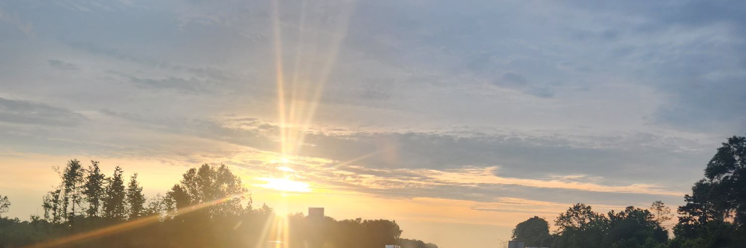 Erica Sergeant banner