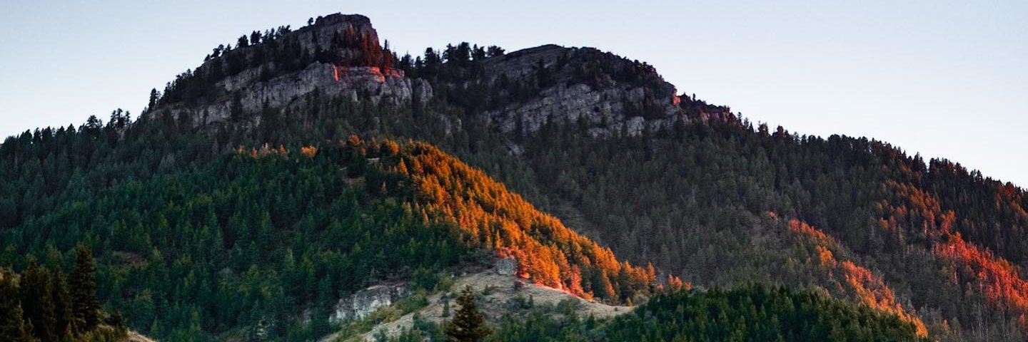 Charley Riddle banner