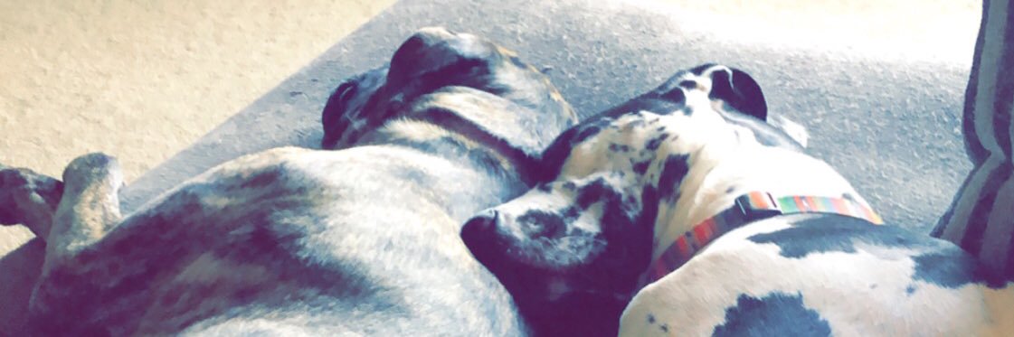StaceyMarieX3's profile banner image