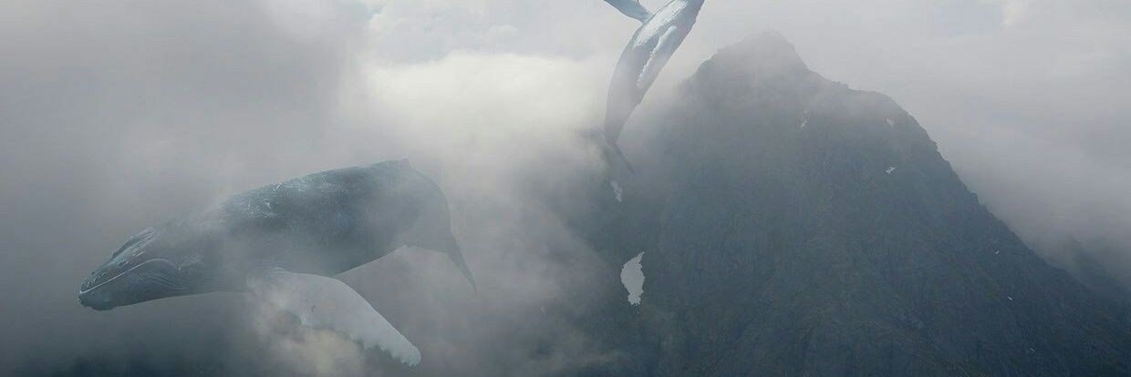 azarvalera's profile banner image