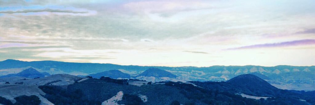 marinasalluce1's profile banner image