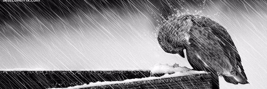 ravimedu's profile banner image