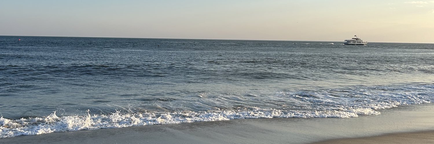 lizzkauffman's profile banner image