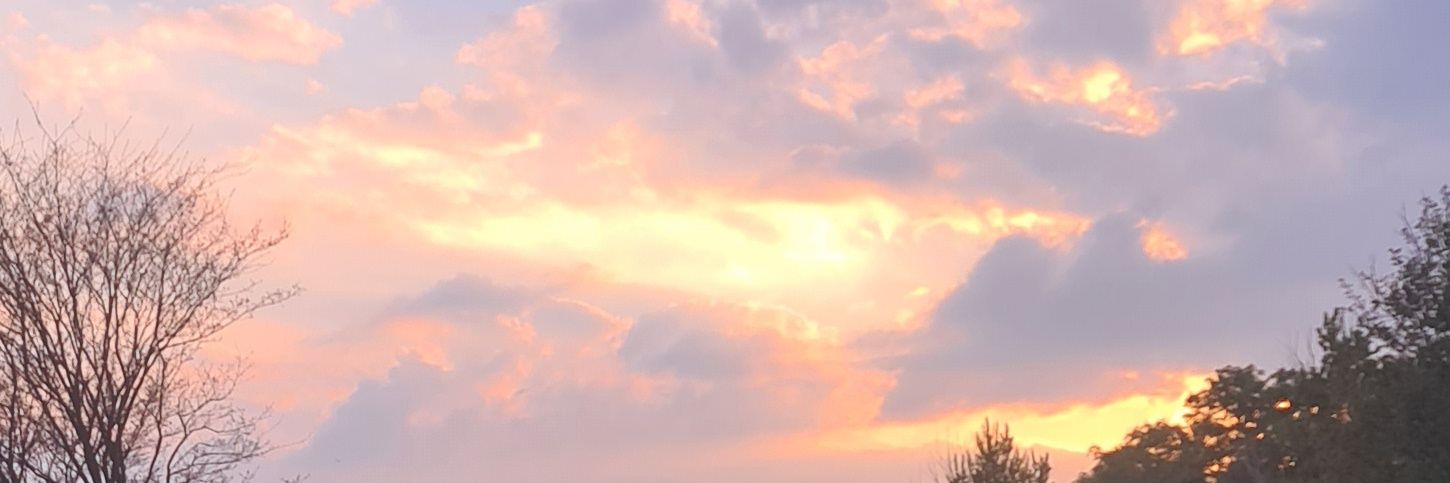 SilentInShadow's profile banner image