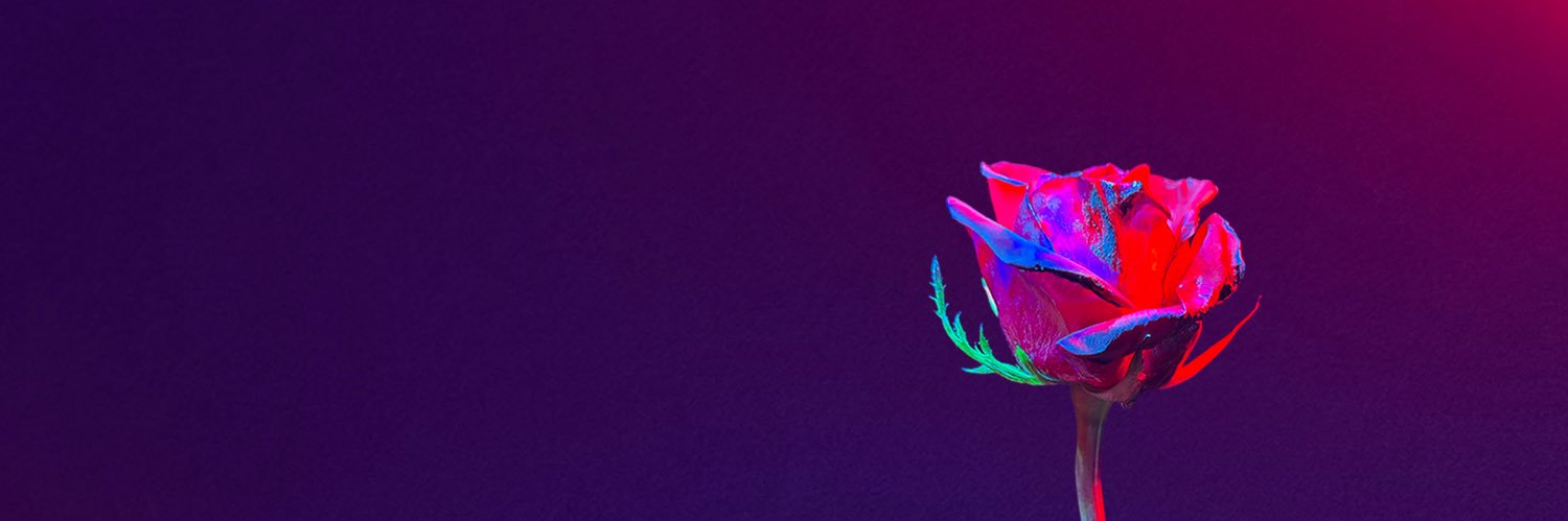 True_Fallacy's profile banner image