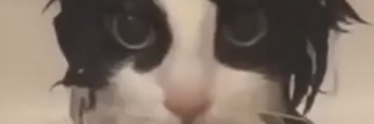 elopuj's profile banner image