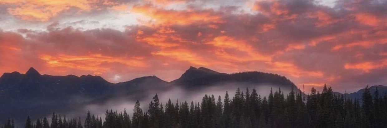 Jack_Carnie's profile banner image