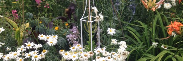 NWinBloom Profile Banner