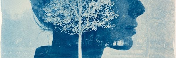 roman_san's profile banner image