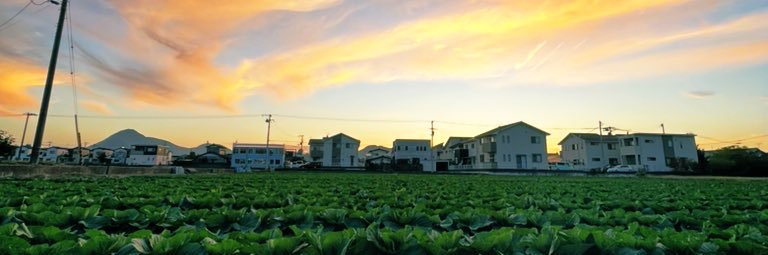 Tomoya🥬きゃべお/ banner