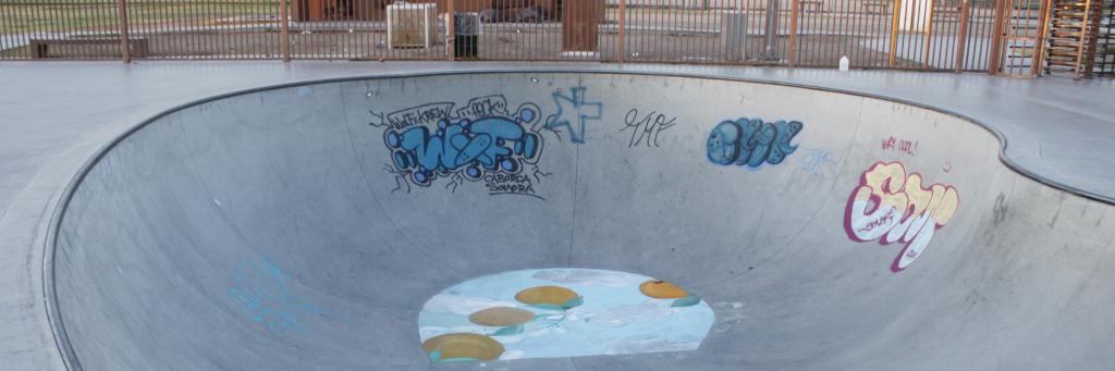 renev1206's profile banner image