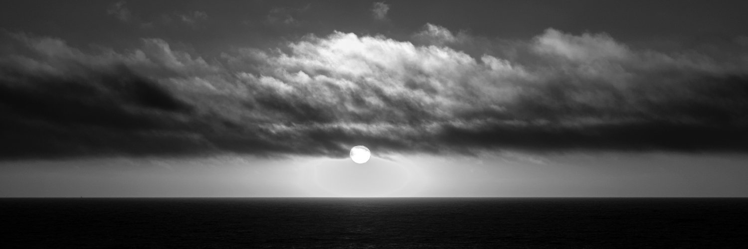 ruidopt's profile banner image