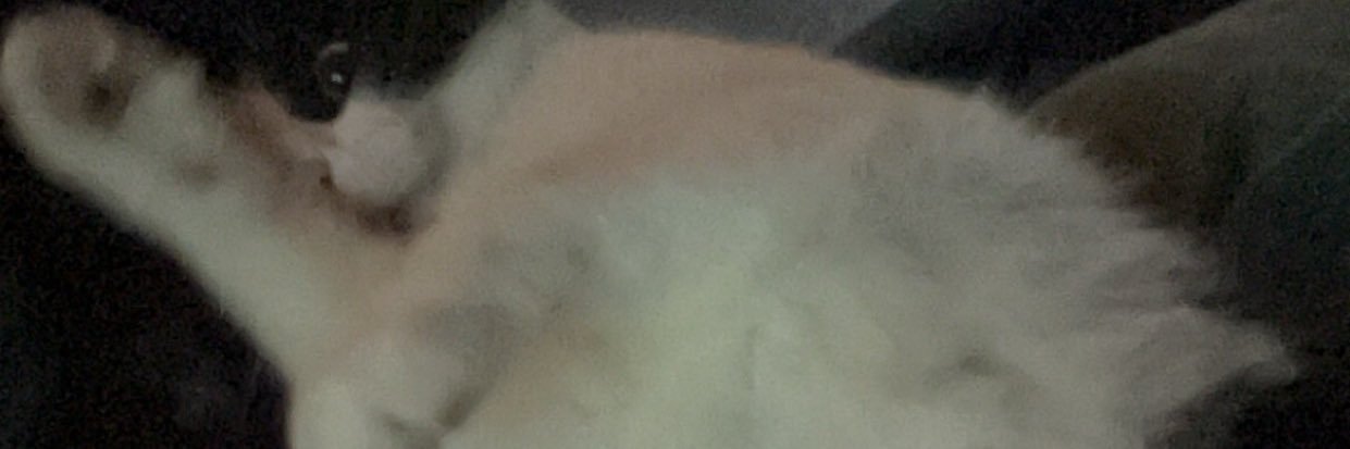 isaiahEspooo's profile banner image