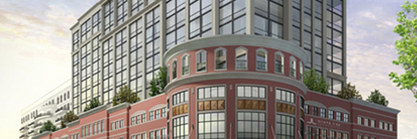 FidellaPlus's profile banner image