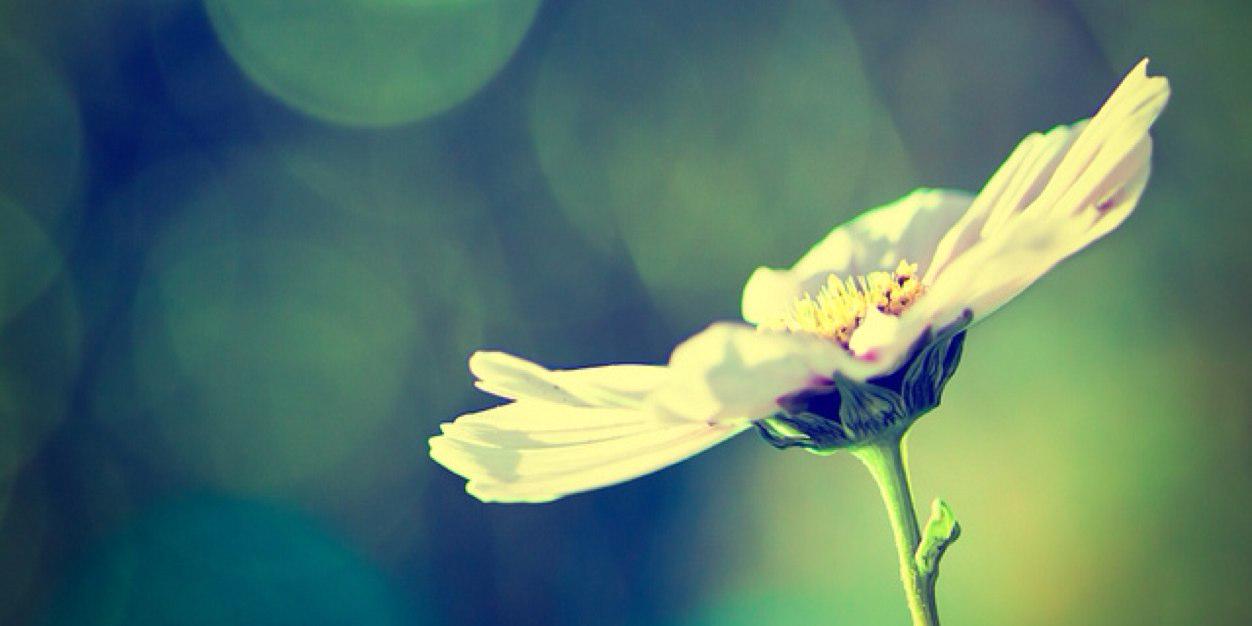 _ImDelilah's profile banner image