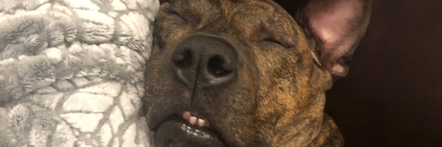 mandirossse's profile banner image