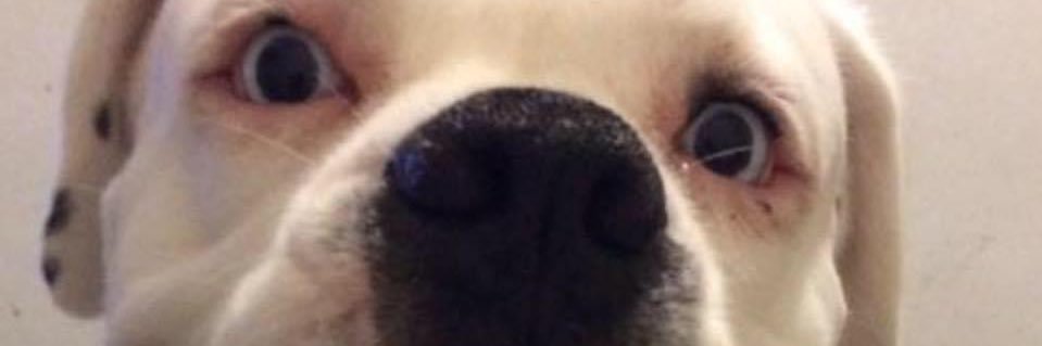 gabygp81's profile banner image