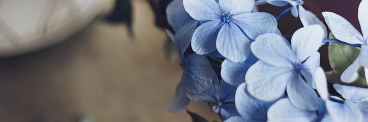 ZenGold31's profile banner image