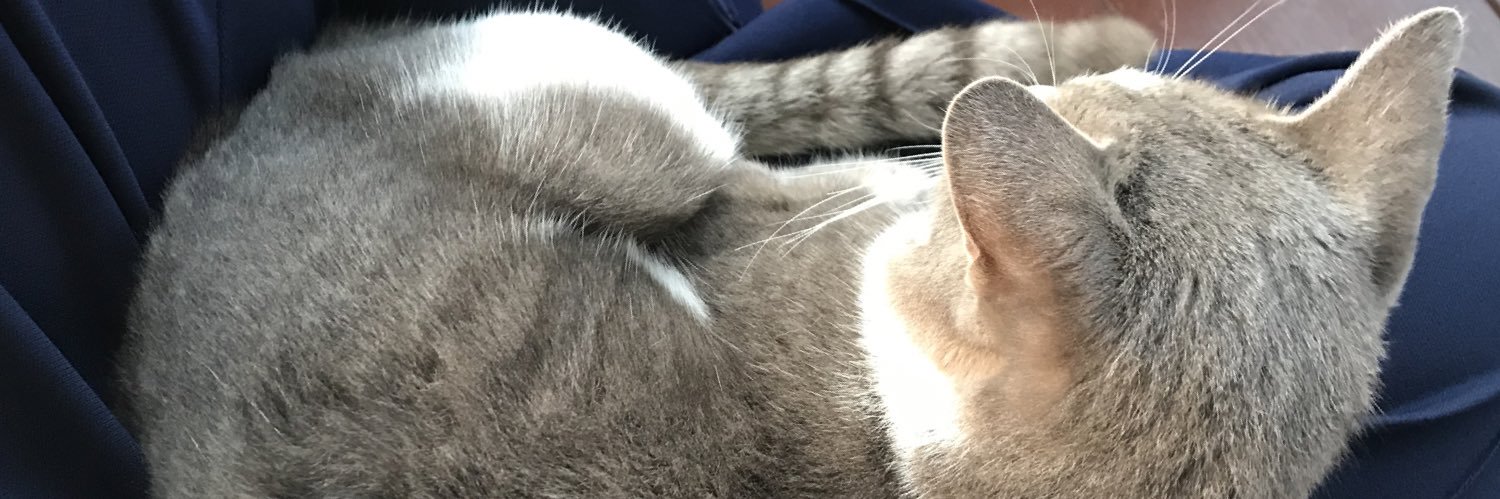 TTicetea's profile banner image