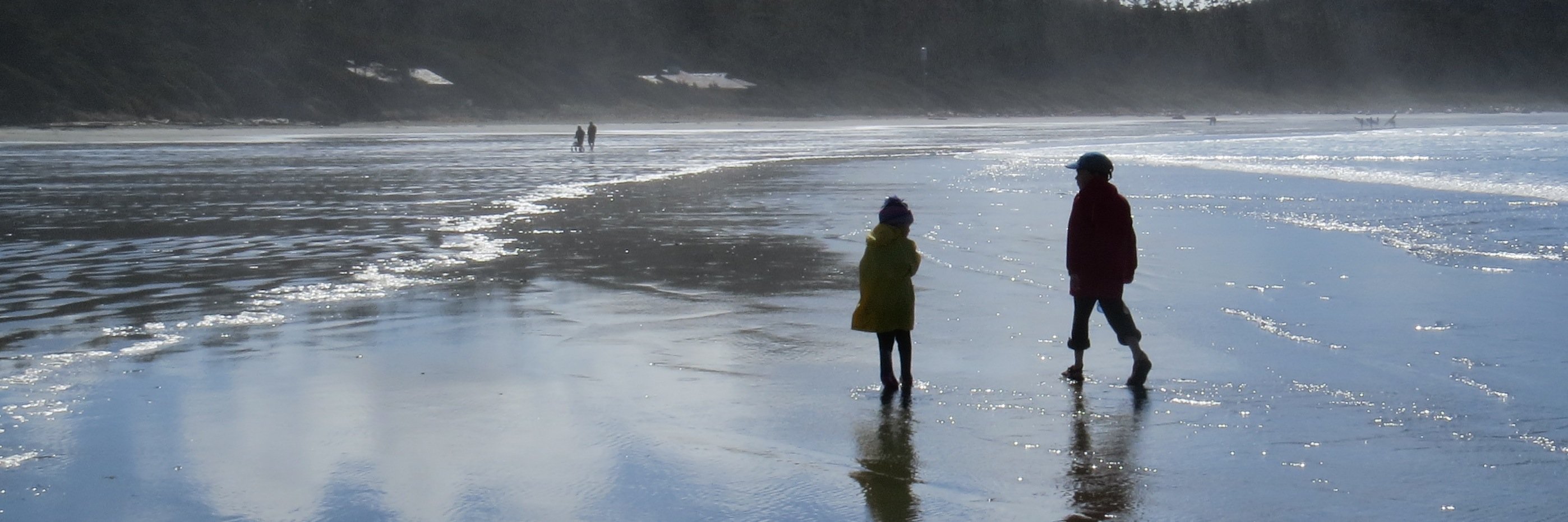 Colleen Castonguay banner