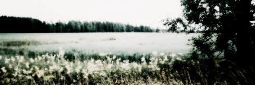 DIYchick07's profile banner image