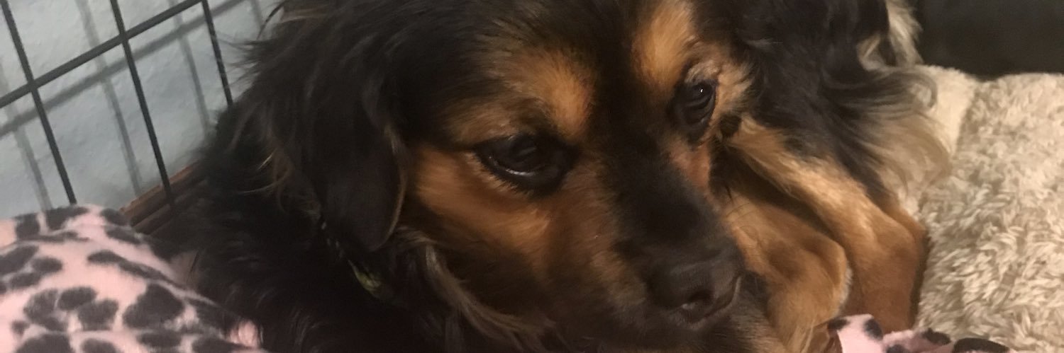 rtcoolstuff10's profile banner image
