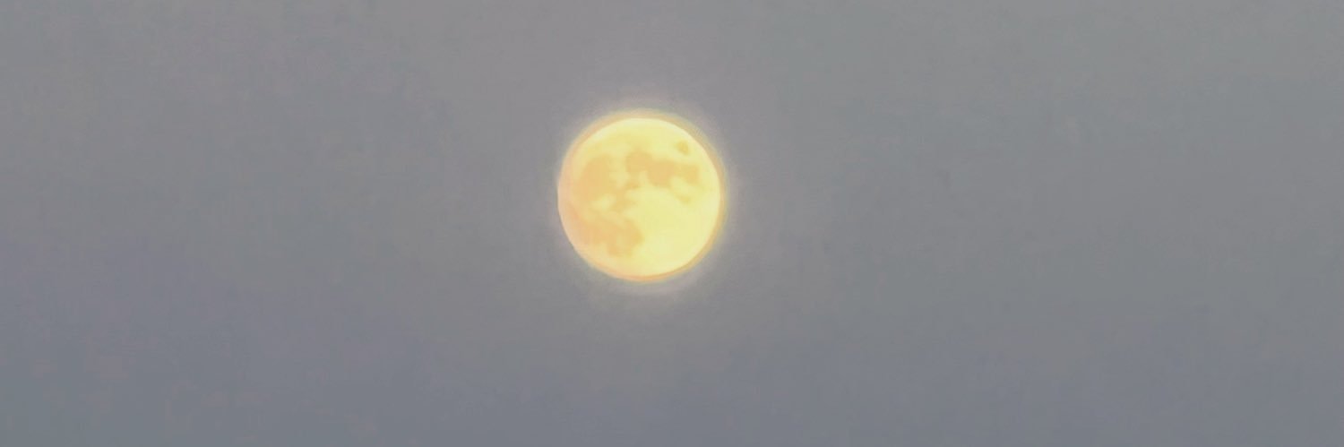 hjs0156's profile banner image