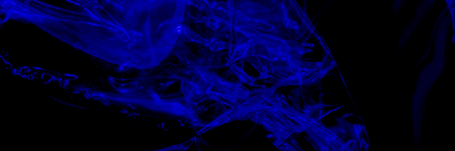 YSKPozzi's profile banner image