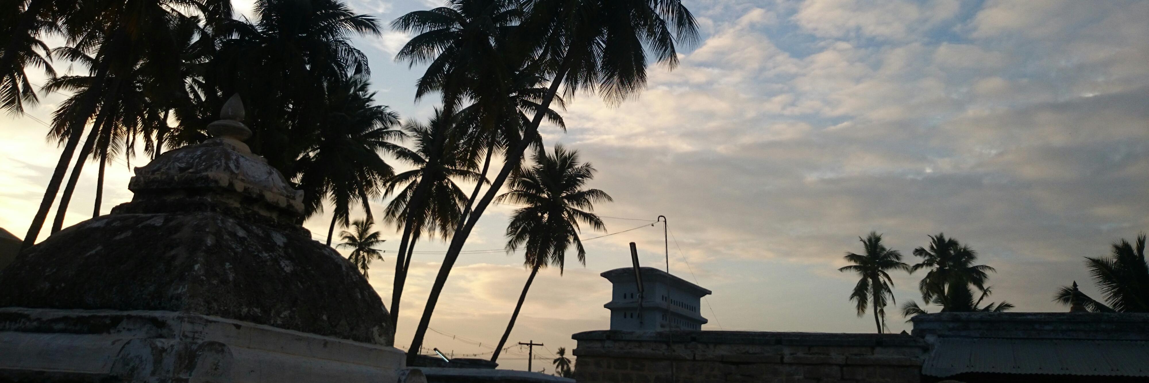 nanthanjeeva's profile banner image