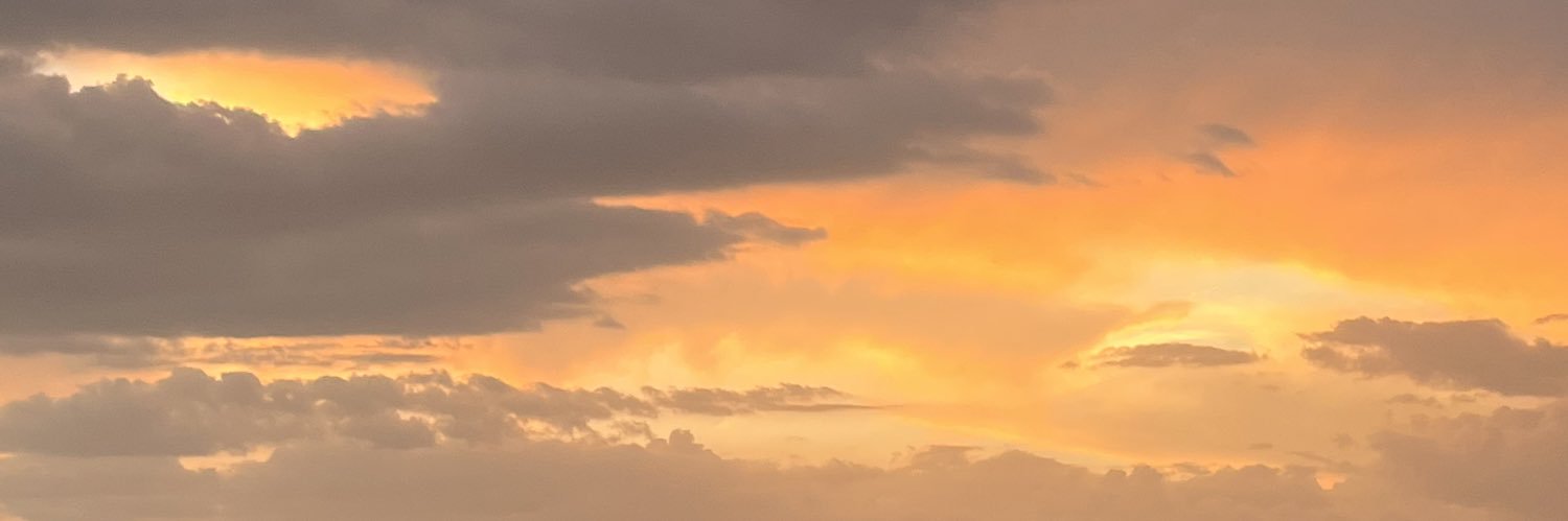 lexiidab's profile banner image