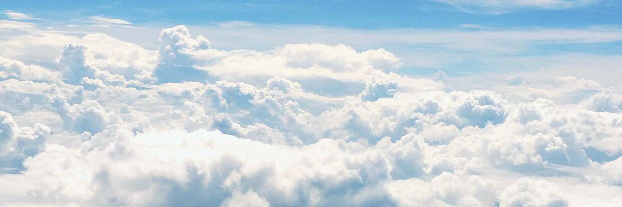 lilly823's profile banner image