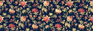 sellaputrish's profile banner image