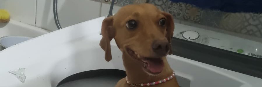 ruthfarca's profile banner image