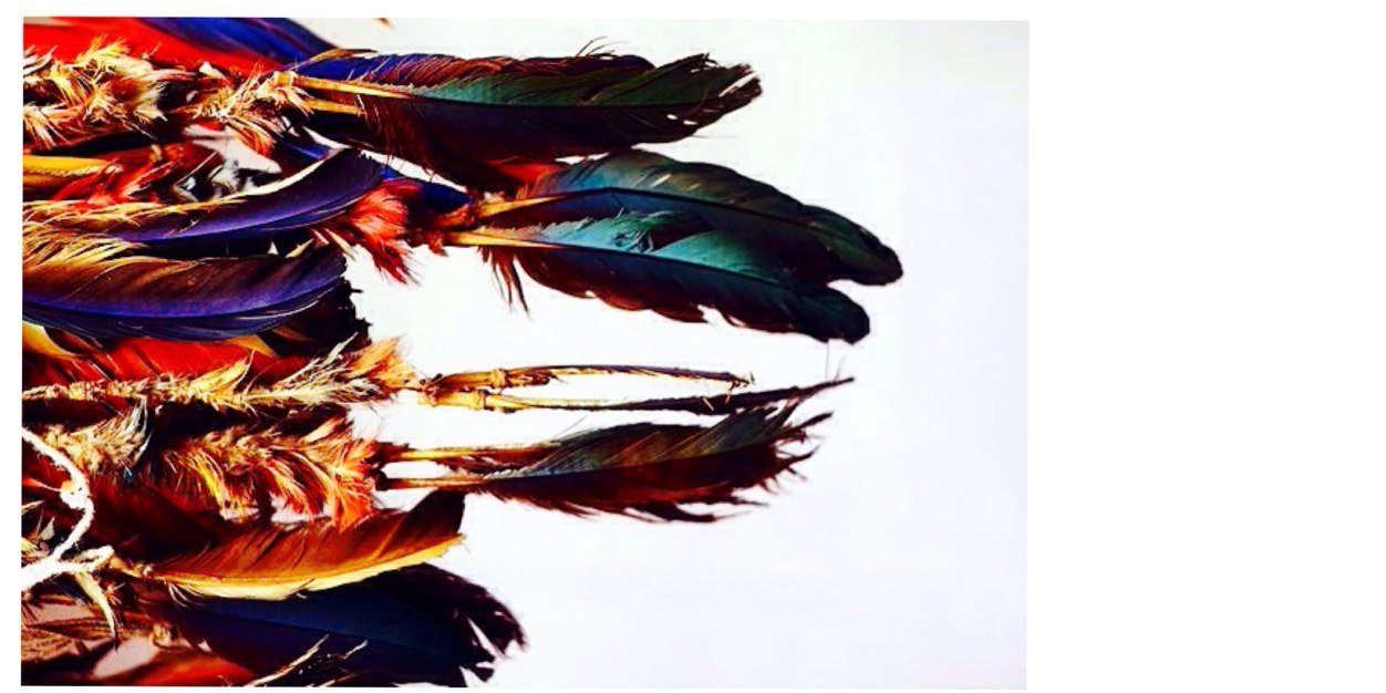 Warrior Nation banner