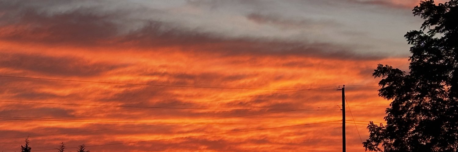 haileymarselle_'s profile banner image